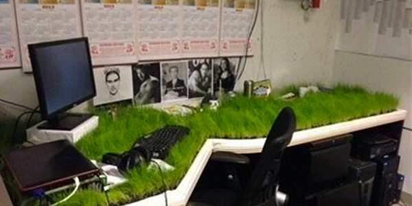 Don't forget to MOW YOUR DESK!