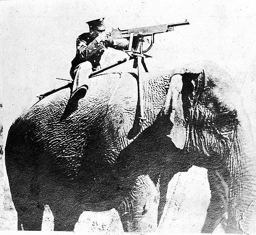 Elephants have been used in times of war as transports and as mounts for military arms.