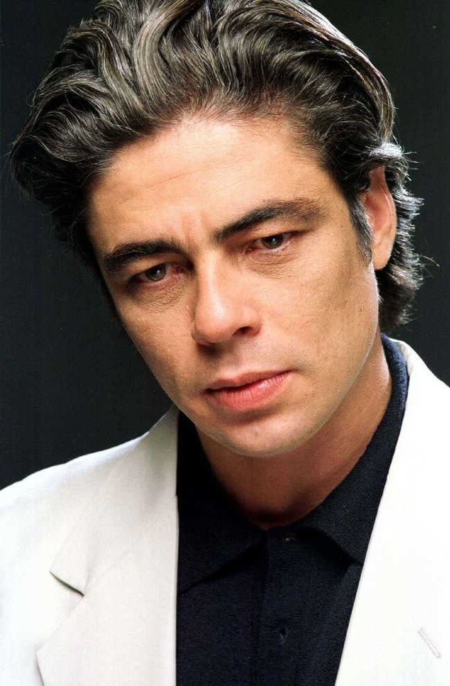 Benicio del Toro defied his father's wishes when he dropped out of school studying law to pursue acting.