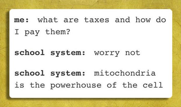 taxes and how do i pay them - me what are taxes and how do I pay them? school system worry not school system mitochondria is the powerhouse of the cell