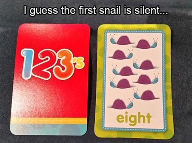 material - I guess the first snail is silent... eight