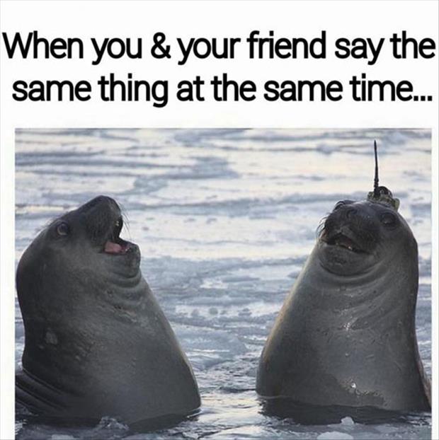funny friends in class quotes - When you & your friend say the same thing at the same time...