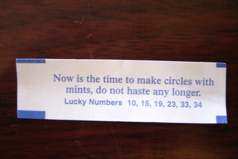 Go Home Fortune Cookie.. You're Drunk
