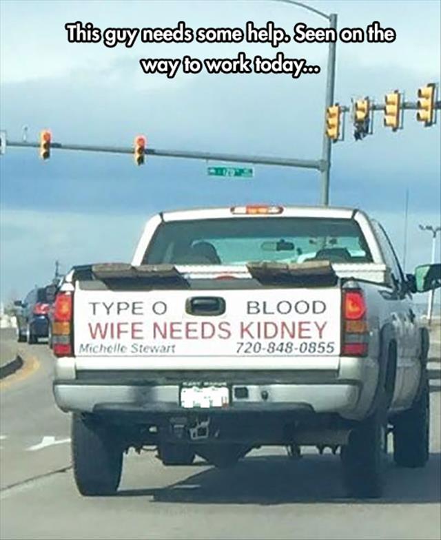 bumper - This guy needs some help. Seen on the way to work today.com Type O O Blood Wife Needs Kidney 7208480855 Michelle Stewart