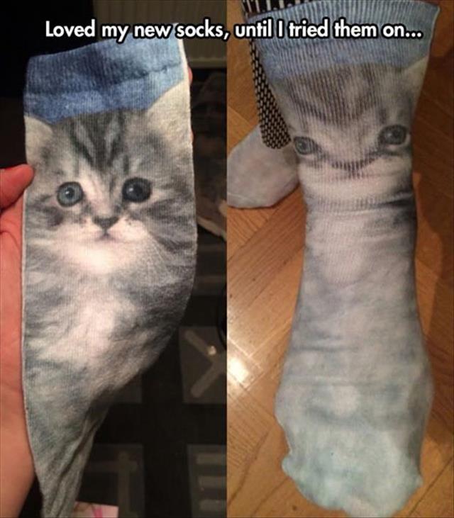 cat socks fail - Loved my new socks, until I tried them on...