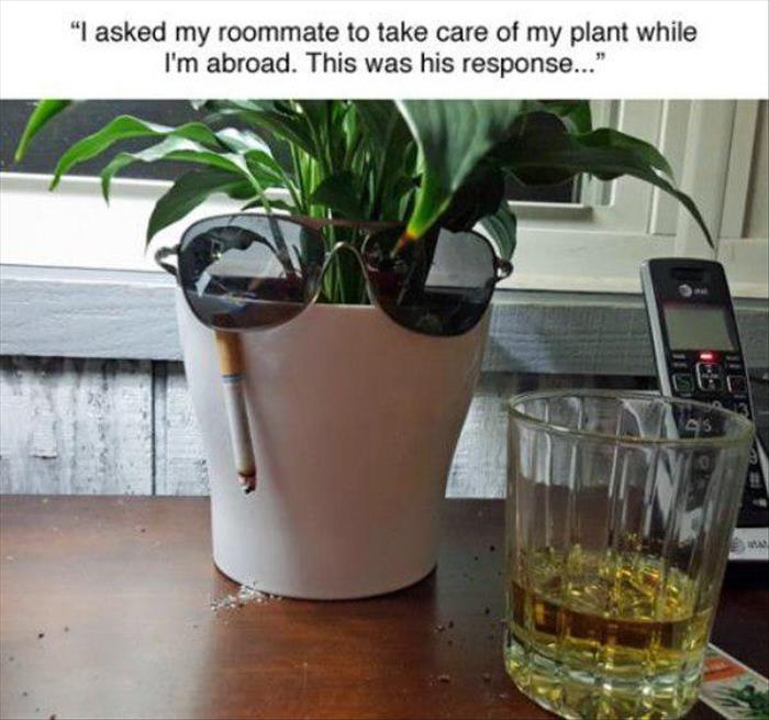 bad with plants meme -