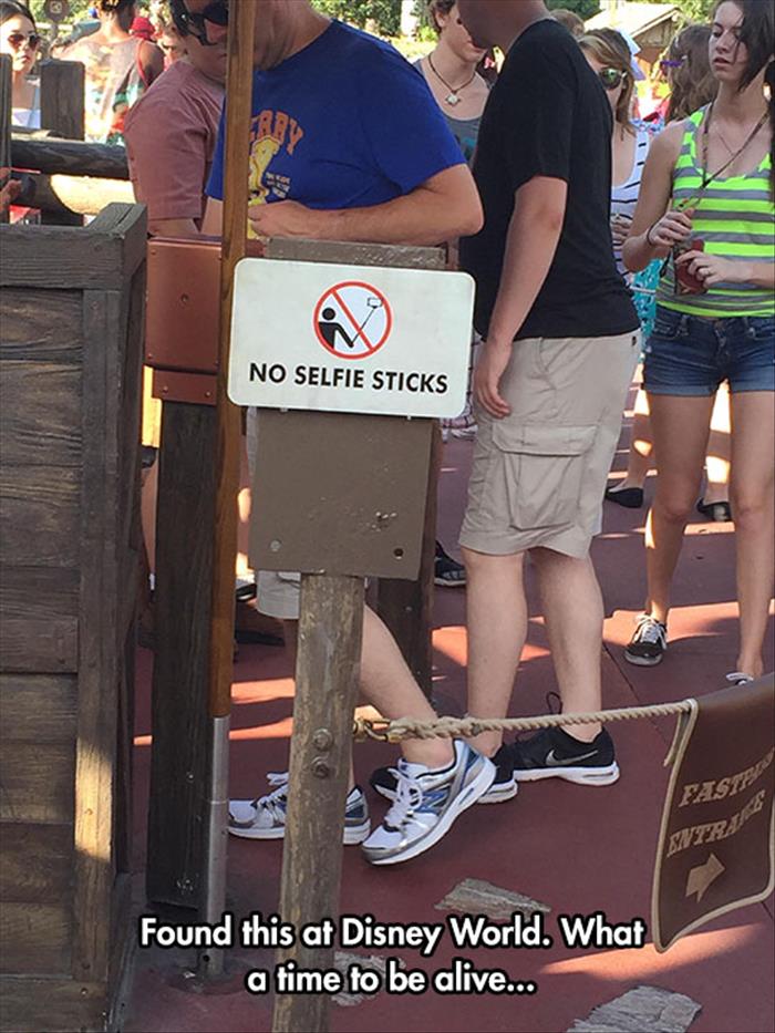 time to be alive funny - No Selfie Sticks Found this at Disney World. What a time to be alive...