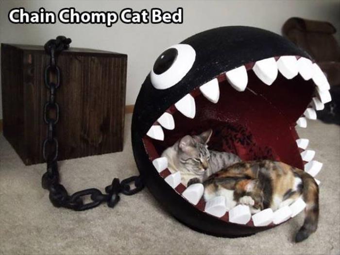 chain chomp cat bed - Chain Chomp Cat Bed