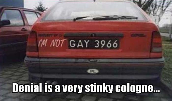 im not gay car - I'M Not Gay 3966 Denial is a very stinky cologne...