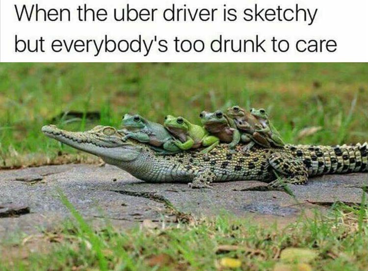 baby crocodile - When the uber driver is sketchy but everybody's too drunk to care