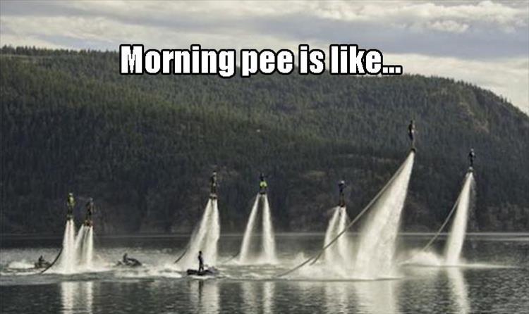 peeing in the morning meme - Morning pee is ...