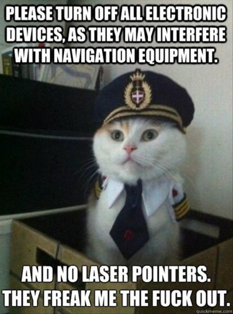 cat red dot - Please Turn Off All Electronic Devices. As They May Interfere With Navigation Equipment And No Laser Pointers. They Freak Me The Fuck Out. Quickmeme.com