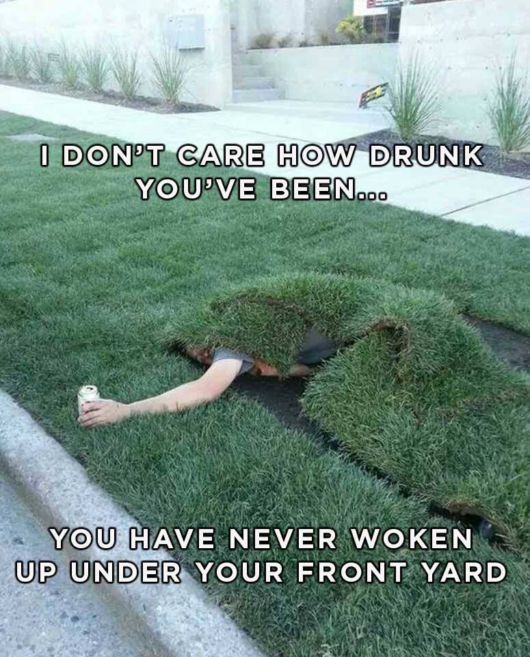 funny grass - I Don'T Care How Drunk You'Ve Been... You Have Never Woken Up Under Your Front Yard