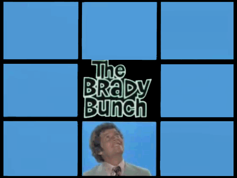 The Brandy Bunch - Mike Brady
