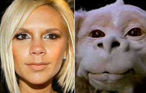 Victoria Beckham and Falcor