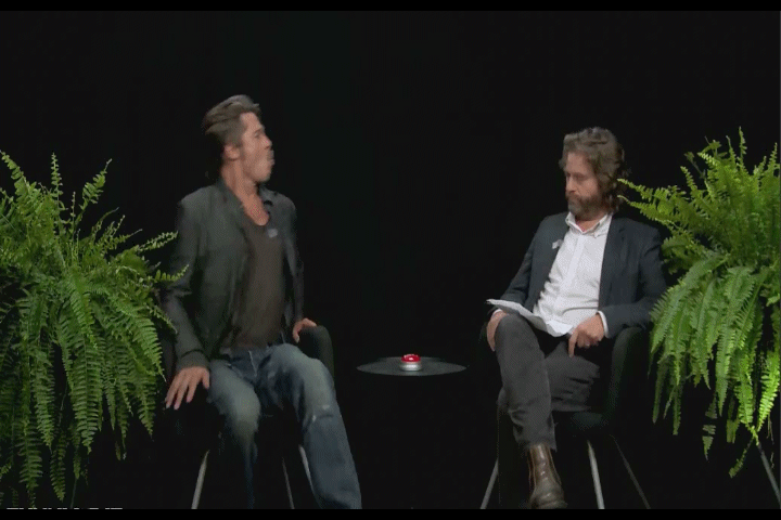 A Gif I made from FOD between ferns.