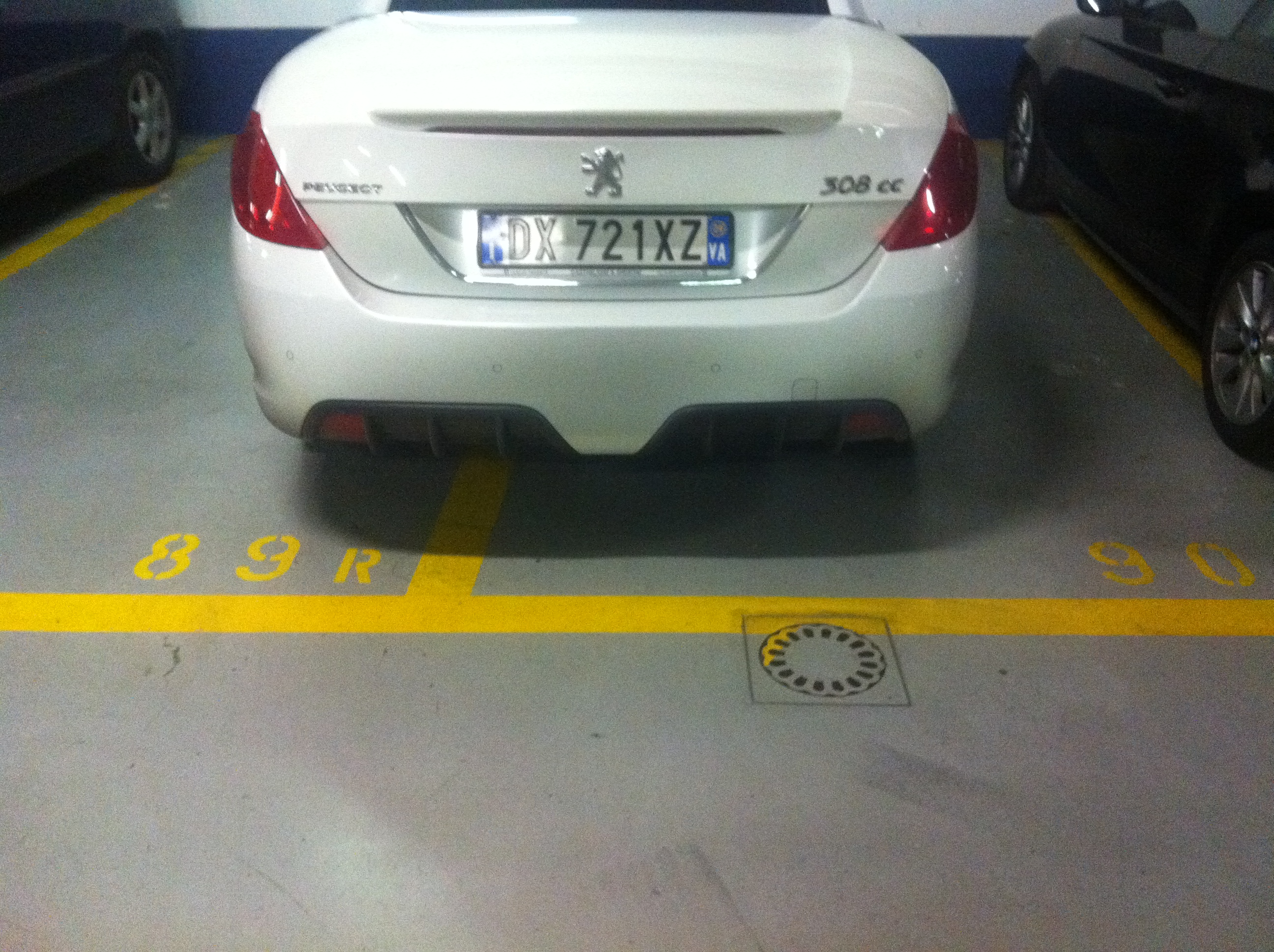 random pics i took...