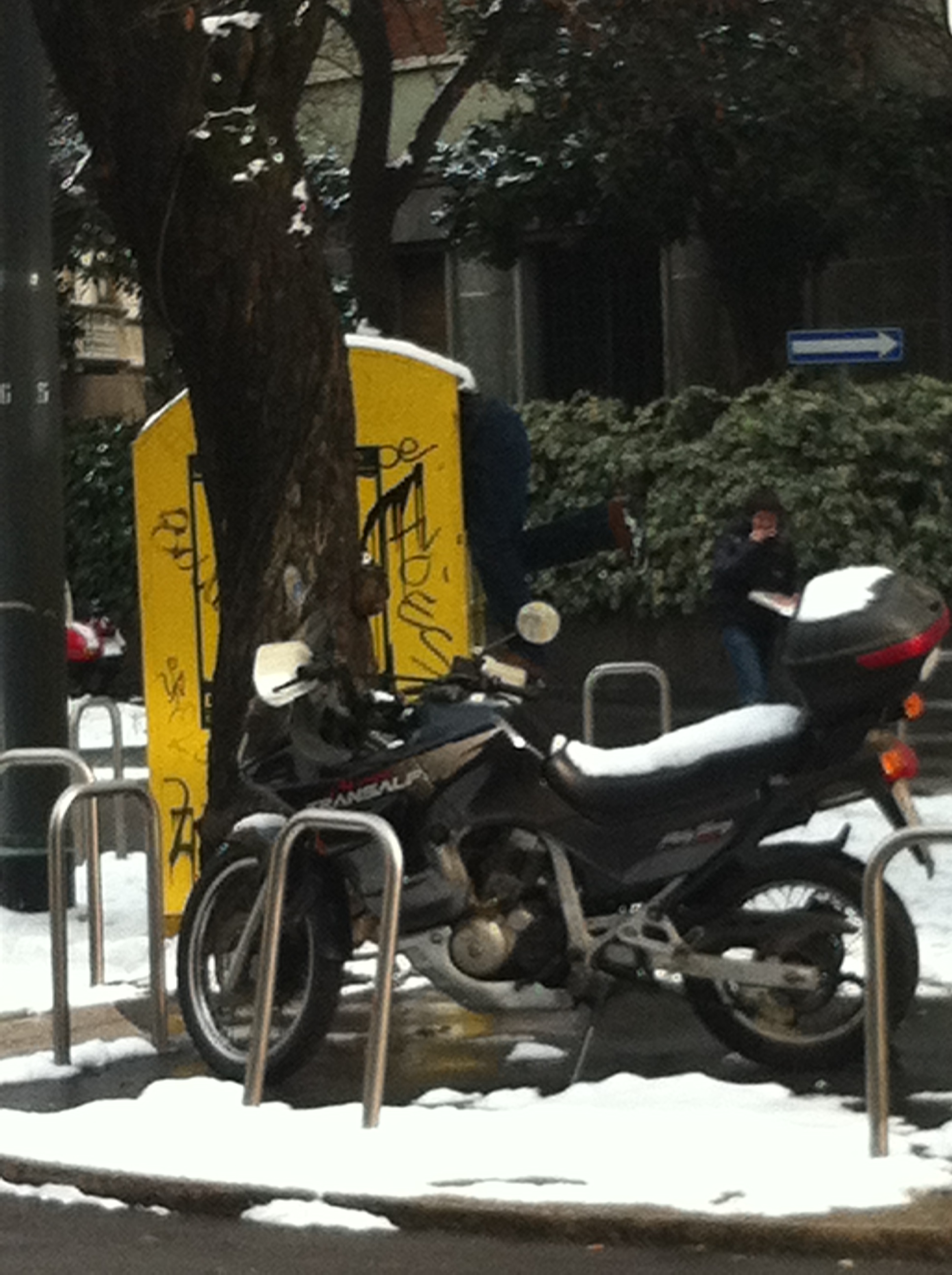 random pics i took...