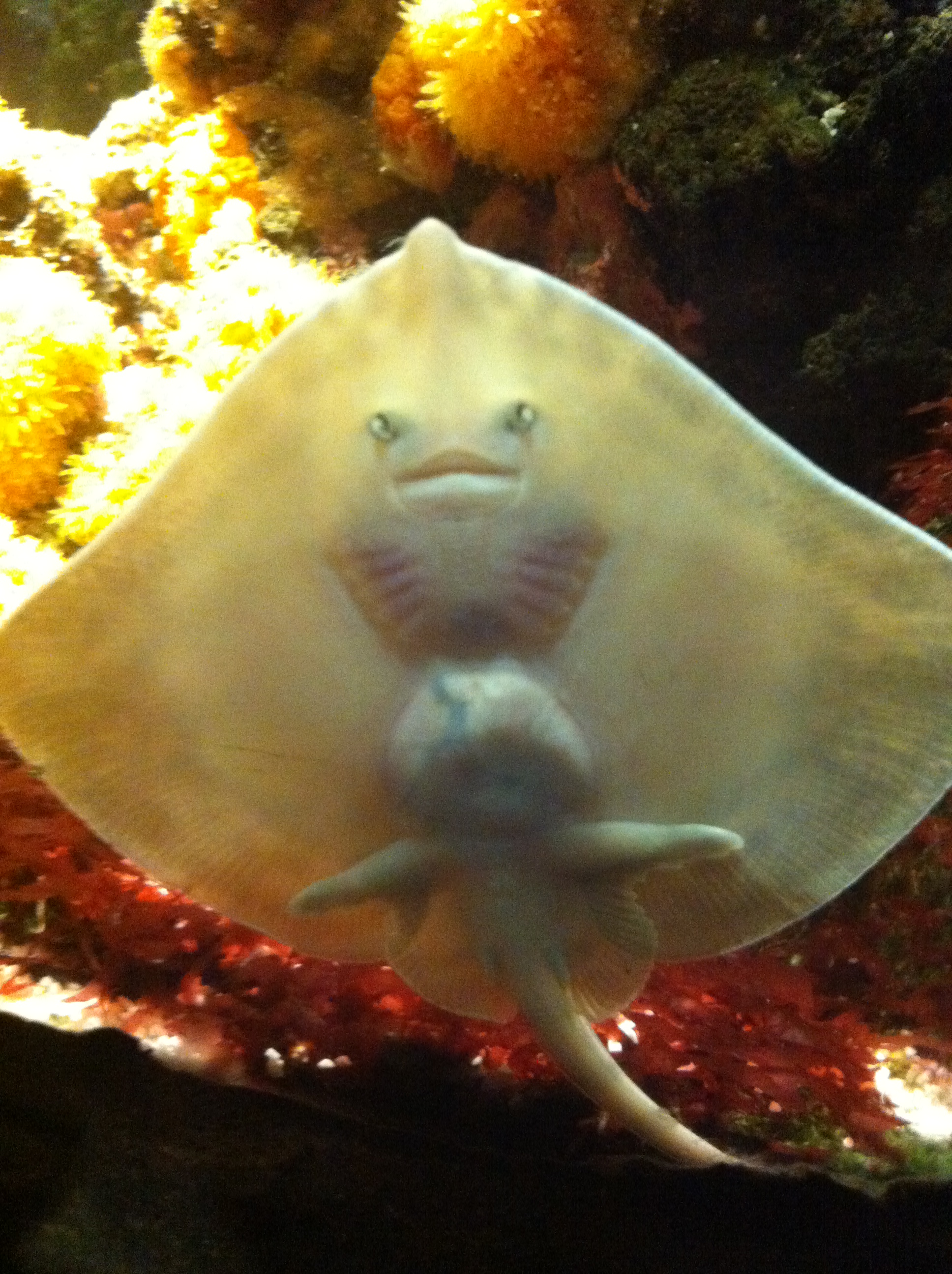 random pics i took...