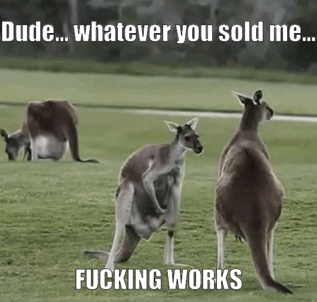Kangaroo doesn't know what he's getting into when he buy drugs from his bud