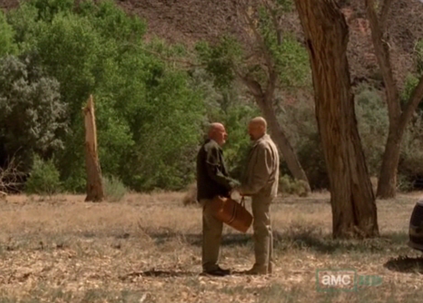 Why would Mike trust Walt to find and deliver his go-bag? He tried to kill Walt several times, and hated his guts.