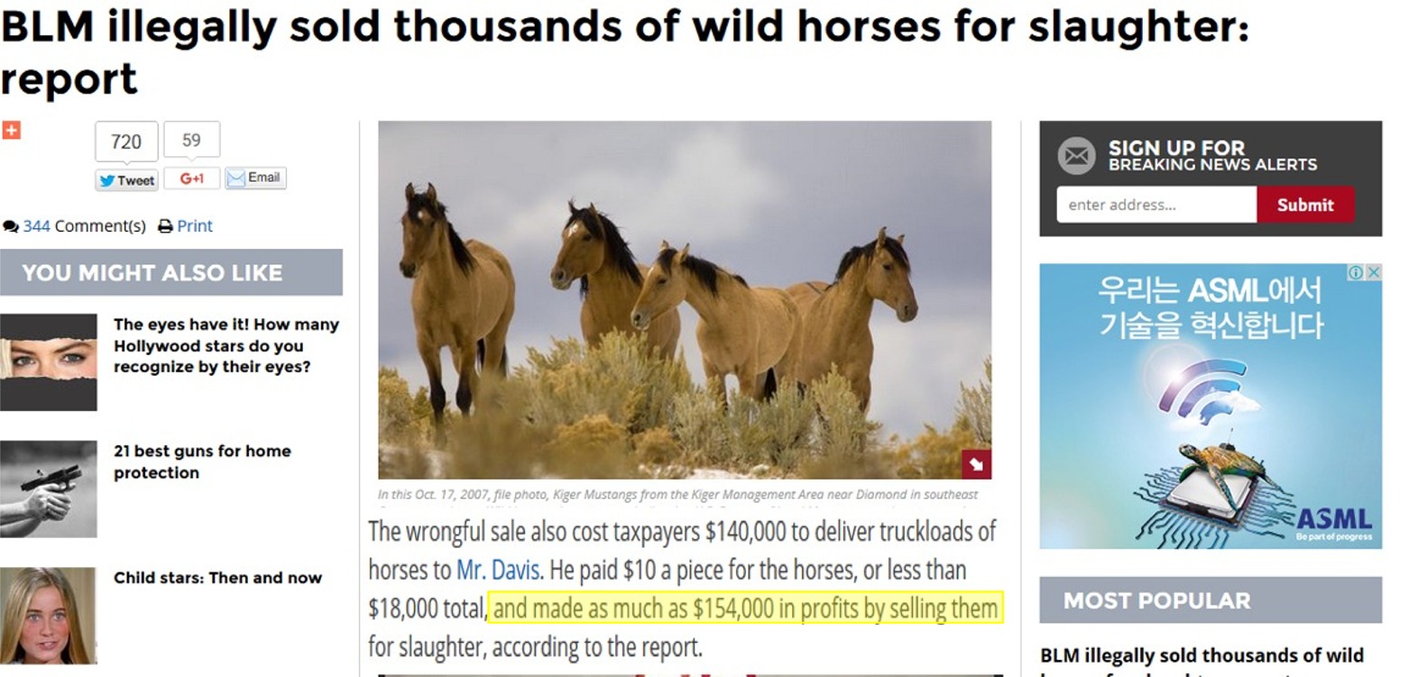 Not to be sold for slaughter, --clever ranchers makes huge profit.