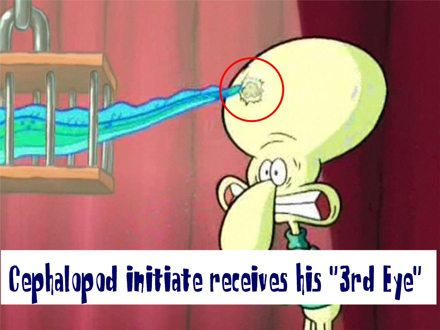 cephalopod lodge - Cephalopod initiate receives his "3rd Eye"
