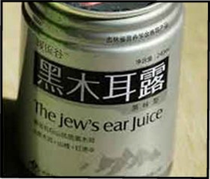 hilarious translation fails