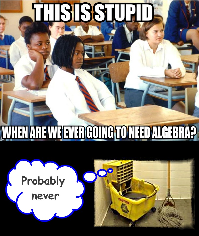 white minority in class - This Is Stupid When Are We Ever Going To Need Algebra? Probably never