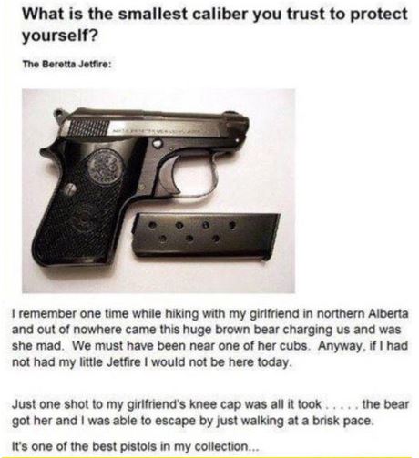 smallest caliber you trust to protect yourself - What is the smallest caliber you trust to protect yourself? The Beretta Jetfire I remember one time while hiking with my girlfriend in northern Alberta and out of nowhere came this huge brown bear charging 