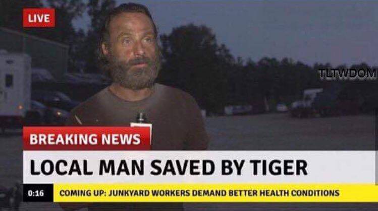 walking dead memes 2017 - Live Tltwdom Breaking News Local Man Saved By Tiger Coming Up Junkyard Workers Demand Better Health Conditions