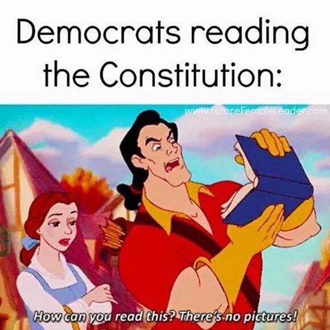 european memes - Democrats reading the Constitution com How can you read this? There's no pictures!