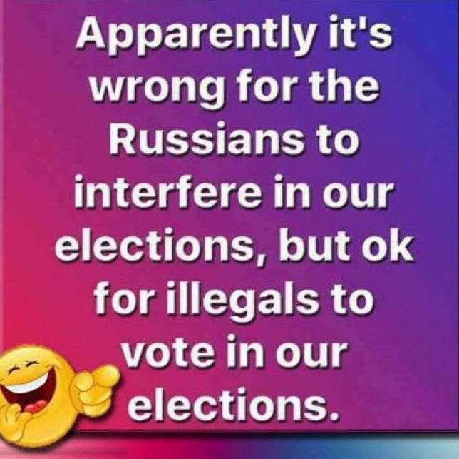 happiness - Apparently it's wrong for the Russians to interfere in our elections, but ok for illegals to vote in our elections.