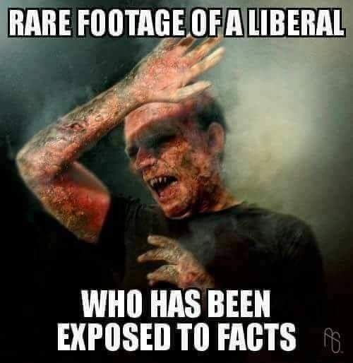 burning vampire - Rare Footage Of A Liberal Who Has Been Exposed To Facts