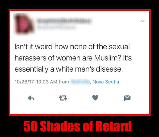 number - Isn't it weird how none of the sexual harassers of women are Muslim? It's essentially a white man's disease. 102617, from Nova Scotia 50 Shades of Retard