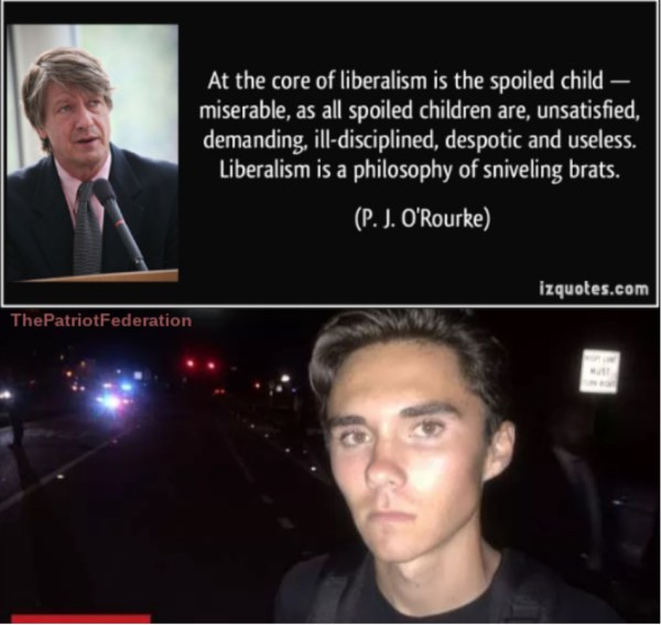 david hogg group - At the core of liberalism is the spoiled child miserable, as all spoiled children are, unsatisfied, demanding, illdisciplined, despotic and useless. Liberalism is a philosophy of sniveling brats. P. J. O'Rourke izquotes.com ThePatriotFe