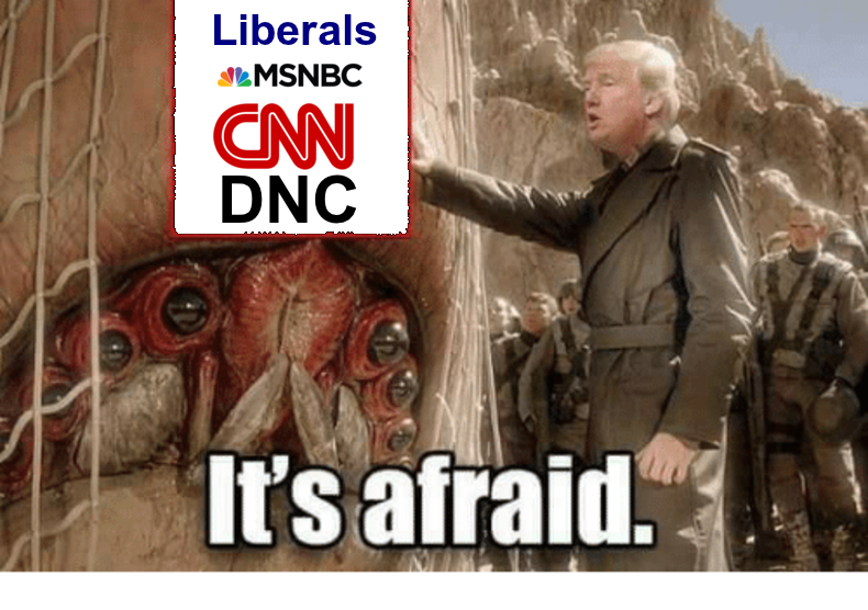 its afraid jew meme - Liberals Semsnbc Cn Dnc It's afraid.