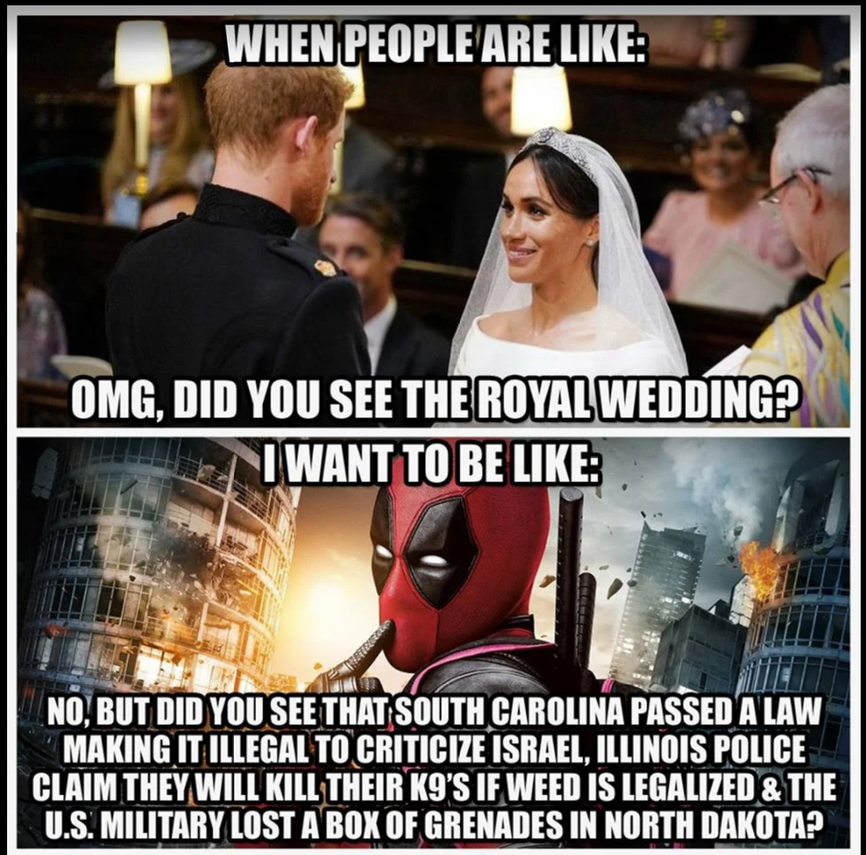 meghan harry wedding ceremony - When People Are Omg, Did You See The Royal Wedding? I Want To Be No. But Did You See That South Carolina Passed A Law Making It Illegal To Criticize Israel. Illinois Pouce Claim They Will Kill Their Ki'S If Weed Is Legalize