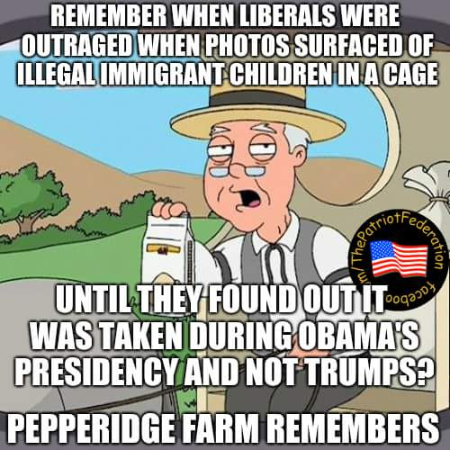 cartoon - Remember When Liberals Were Outraged When Photos Surfaced Of Illegal Immigrant Children In A Cage Ac Du Feder ePat Until They Found Out ITpogos Was Taken During Obama'S Presidency And Not Trumps? Pepperidge Farm Remembers