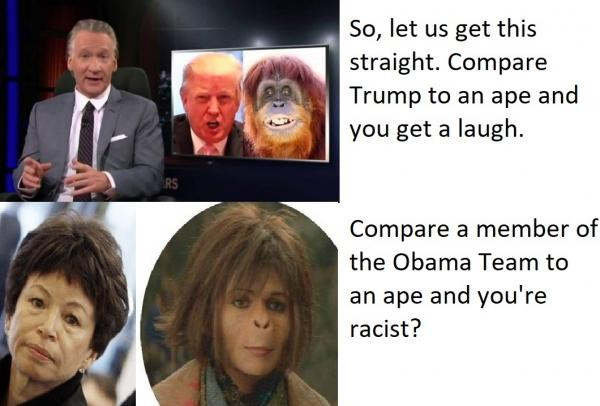 human behavior - So, let us get this straight. Compare Trump to an ape and you get a laugh. Compare a member of the Obama Team to an ape and you're racist?