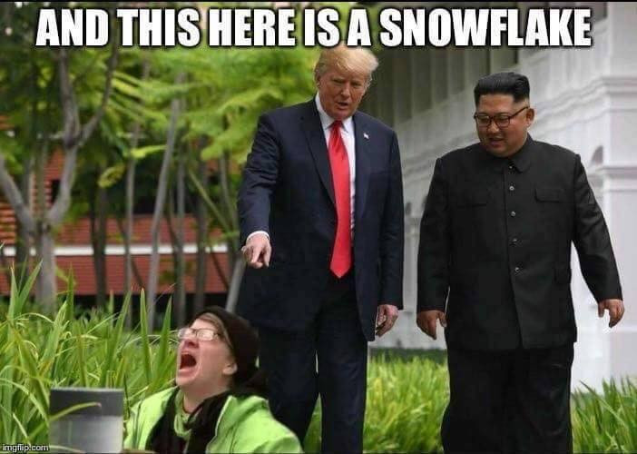 trump maga meme - And This Here Is A Snowflake imgp.com