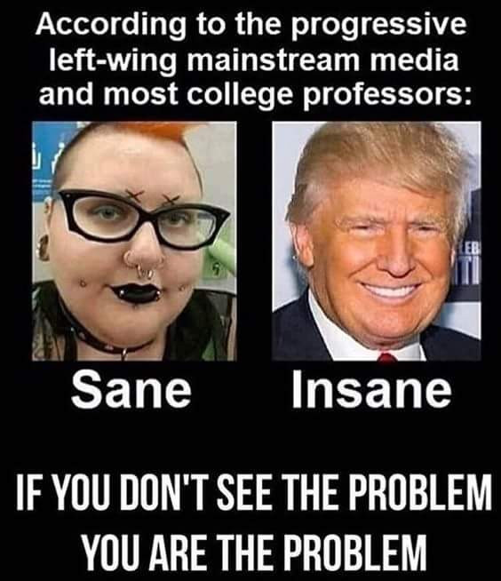 photo caption - According to the progressive leftwing mainstream media and most college professors Sane Insane If You Don'T See The Problem You Are The Problem