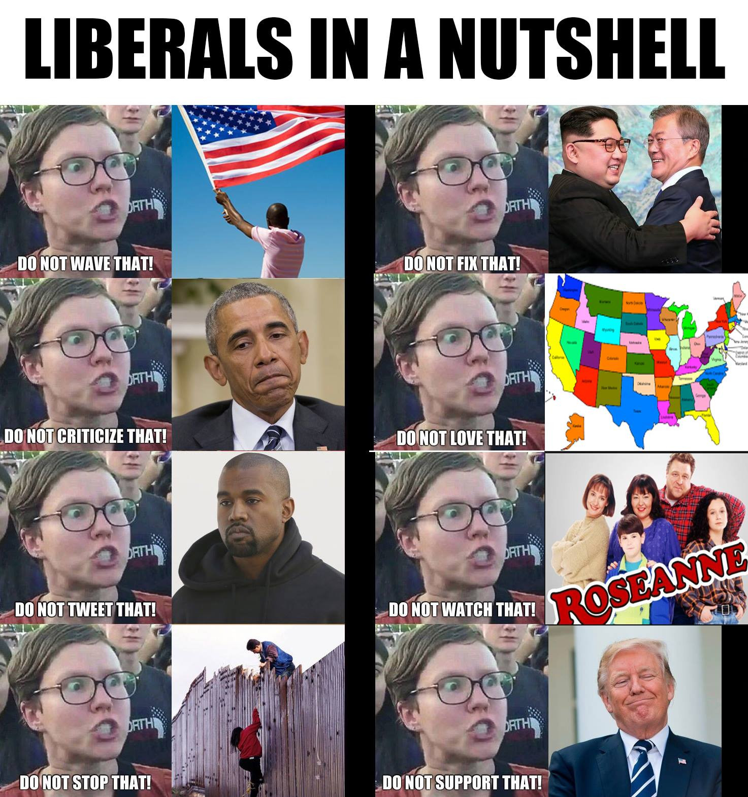 conservative memes - Liberals In A Nutshell An Do Not Wave That! Do Not Fix That! Do Not Criticize That! Do Not Love That! The Do Not Tweet That Do Not Watch That Rosel Roseanne Do Not Stop That! Do Not Support That!