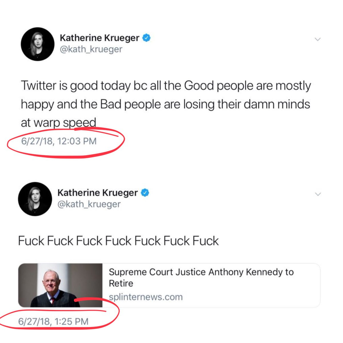 diagram - Katherine Krueger Twitter is good today bc all the Good people are mostly happy and the Bad people are losing their damn minds at warp speed 62718, Katherine Krueger Fuck Fuck Fuck Fuck Fuck Fuck Fuck Supreme Court Justice Anthony Kennedy to Ret