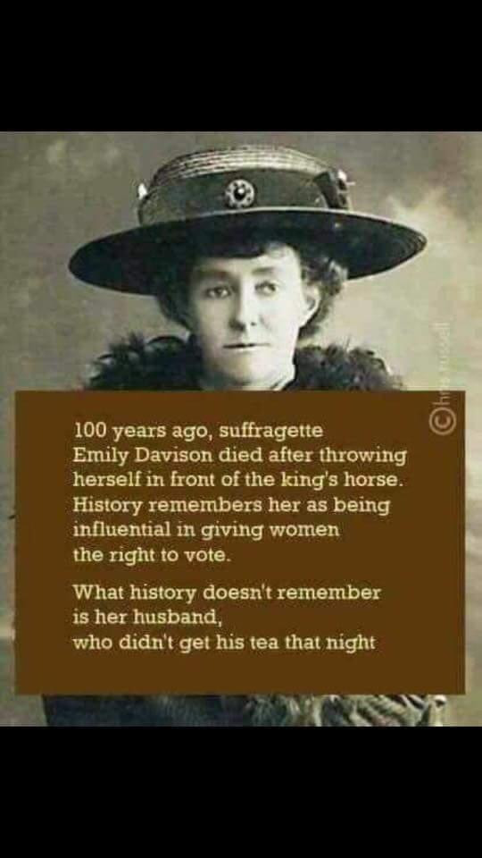 emily davison memes - 100 years ago, suffragette Emily Davison died after throwing herself in front of the king's horse. History remembers her as being influential in giving women the right to vote. What history doesn't remember is her husband, who didn't