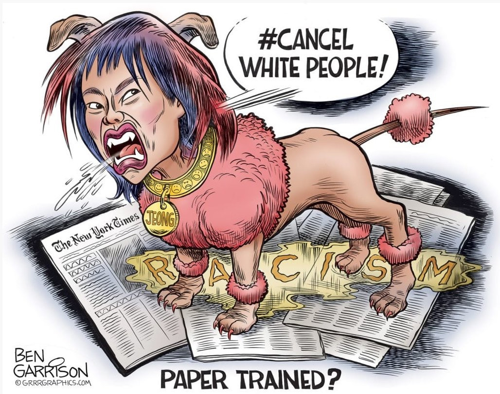 ben garrison sarah jeong - White People! Ca Ok The New York Times Ww m Ben Garrison Grrrgraphics.Com Paper Trained?