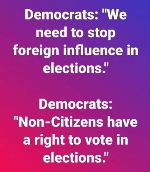 angle - Democrats "We need to stop foreign influence in elections." Democrats "NonCitizens have a right to vote in elections."