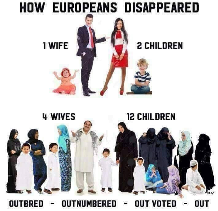 memes - 2 wives meme - How Europeans Disappeared 1 Wife 2 Children 4. Wives 12 Children Outbred Outnumbered Qut Voted Out