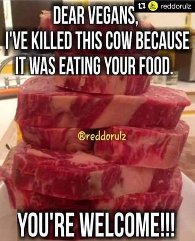 memes - dear vegans i killed this cow because - Dear Vegans. 1 9 reddorulz I'Ve Killed This Cow Because It Was Eating Your Food. reddorulz You'Re Welcome!!!