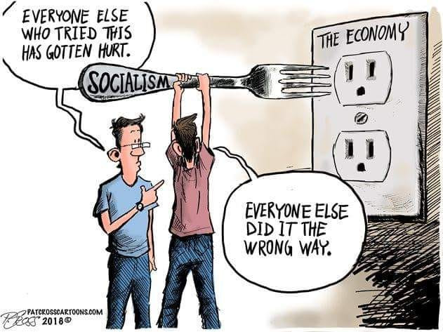 memes - pat cross cartoons - Everyone Else Who Tried This Has Gotten Hurt. Socialismo The Economy www. M Everyone Else Did It The Wrong Way. A Patcrosscartoons.Com Tepat 2018